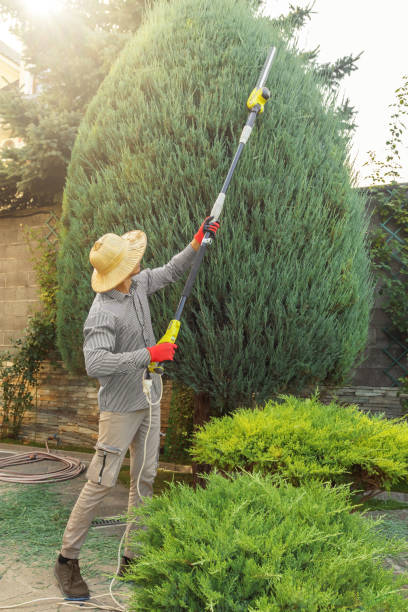 Leaf Removal in Decordova, TX